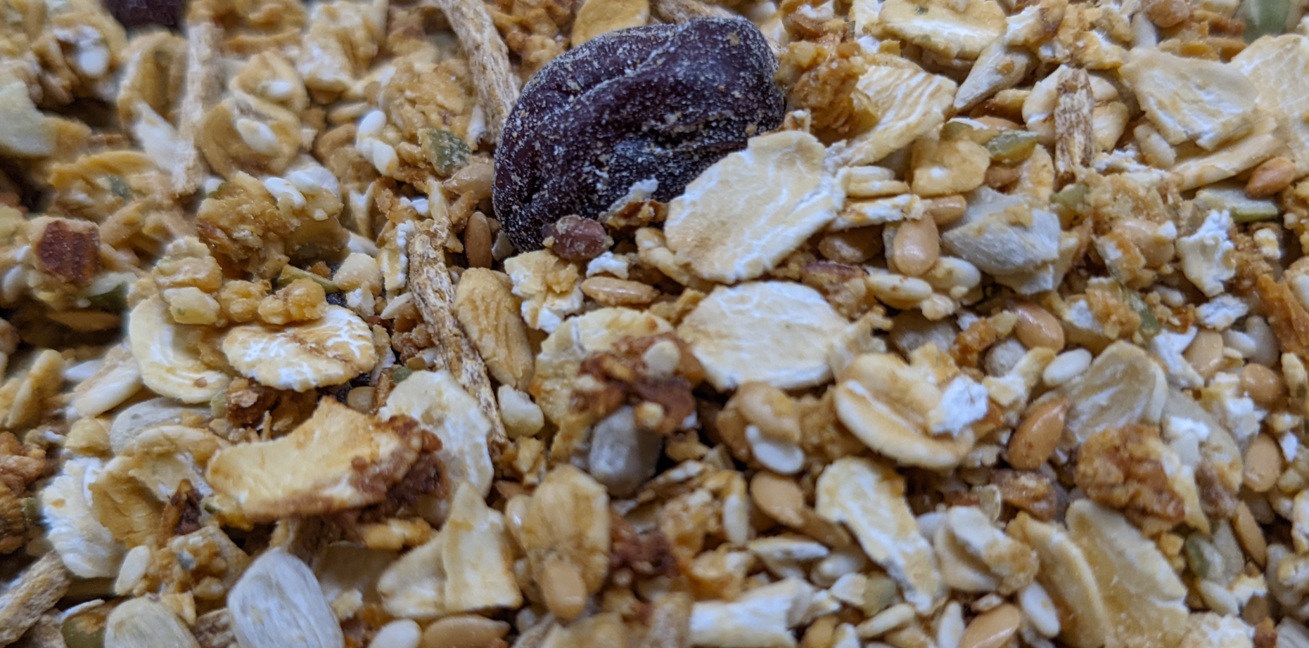 Toasted Muesli